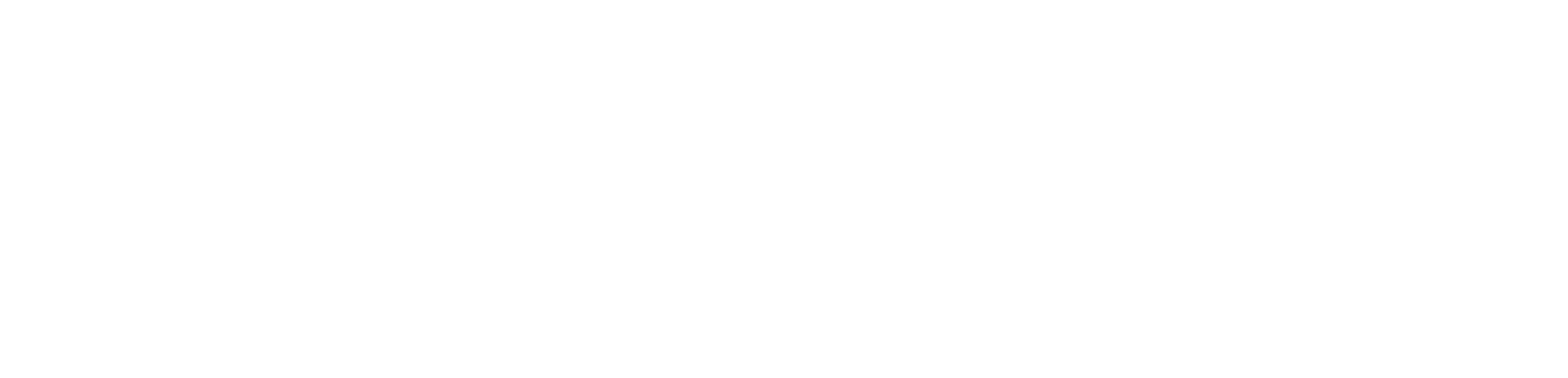 logo_high_resolution_white